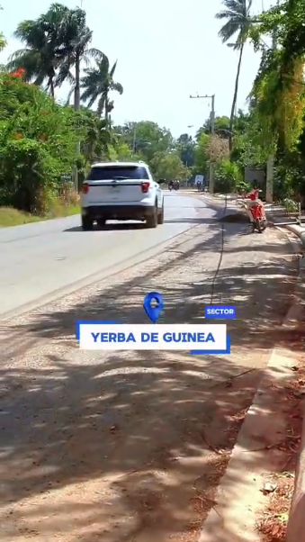 La nueva visión se siente en Yerba de Guinea.